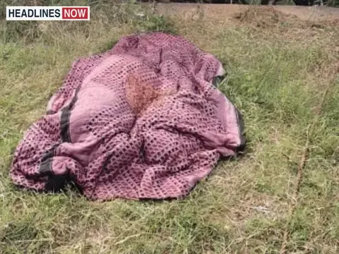 30-फीट गहरे कुएं में कूदी गर्भवती, बेटे की भी मौत : 4 बच्चों को लेकर घर से निकली थी मां; बड़ी बेटी ने 2 बहनों को कूदने से रोका